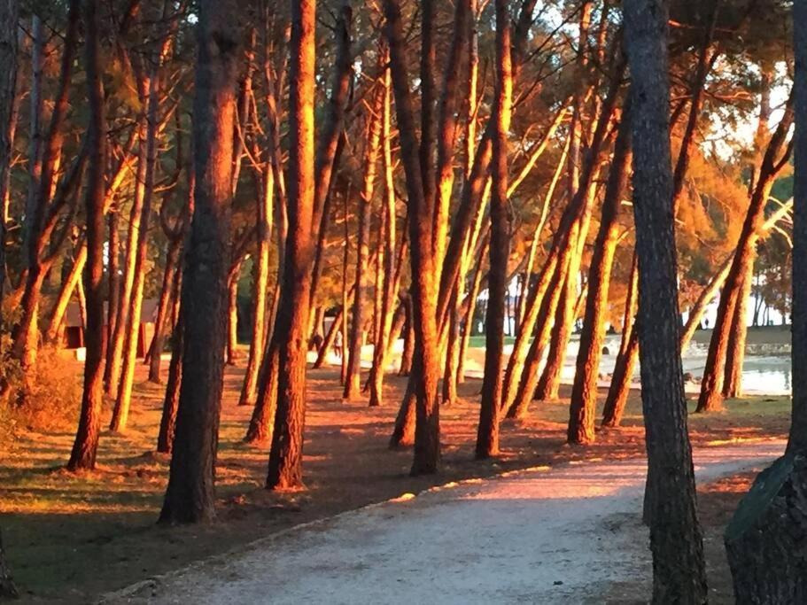 Apartment Capo D'Oro ロヴィニ エクステリア 写真